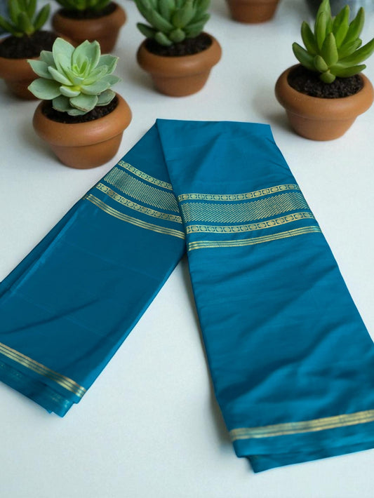 Blue saree with gold borders